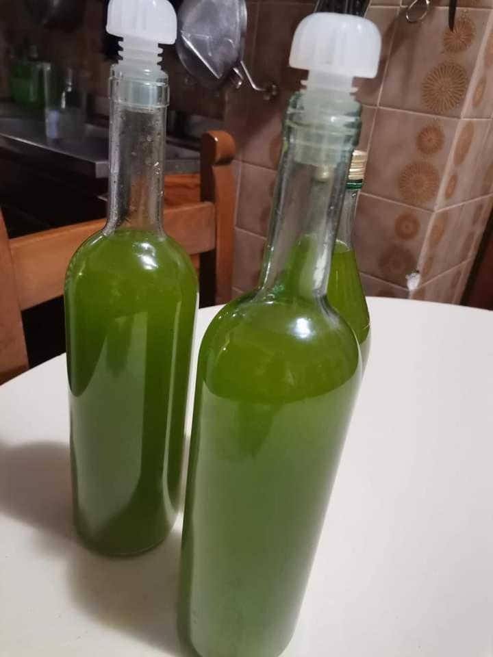 Il Punto Verde SantʼAntonio Exterior foto