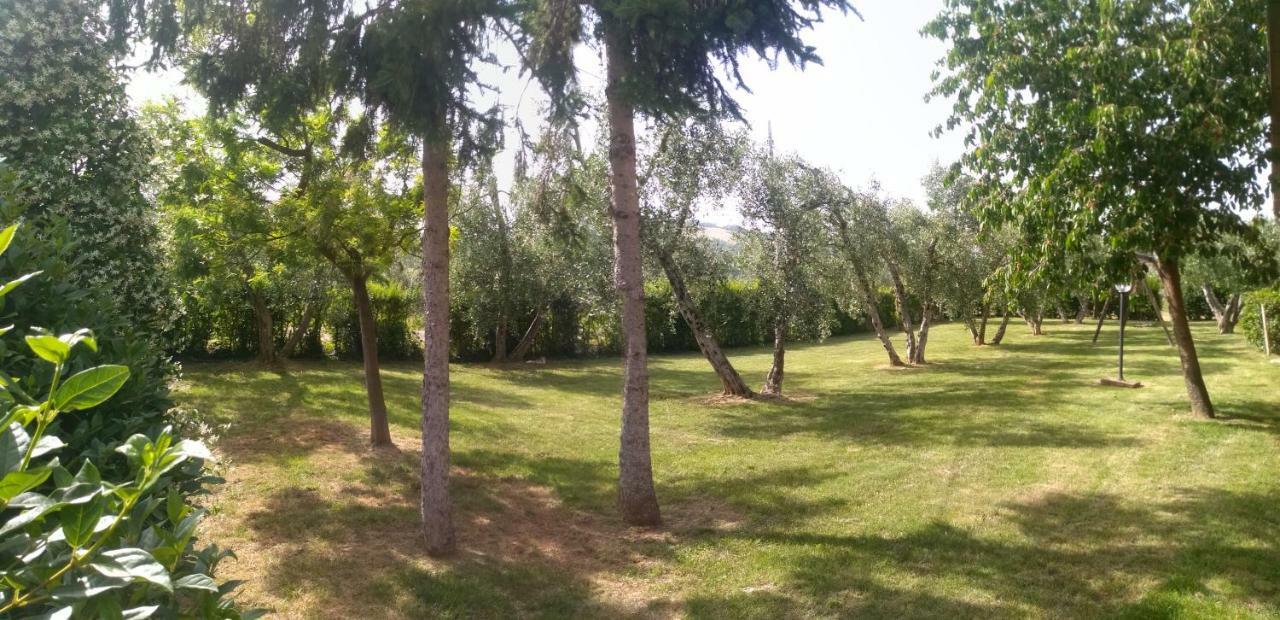 Il Punto Verde SantʼAntonio Exterior foto